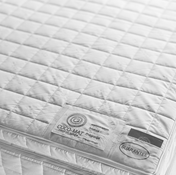 ΑΝΩΣΤΡΩΜΑ-ΙΒΙΣΚΟΣ