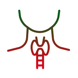 Είδη Τραχειοστομίας